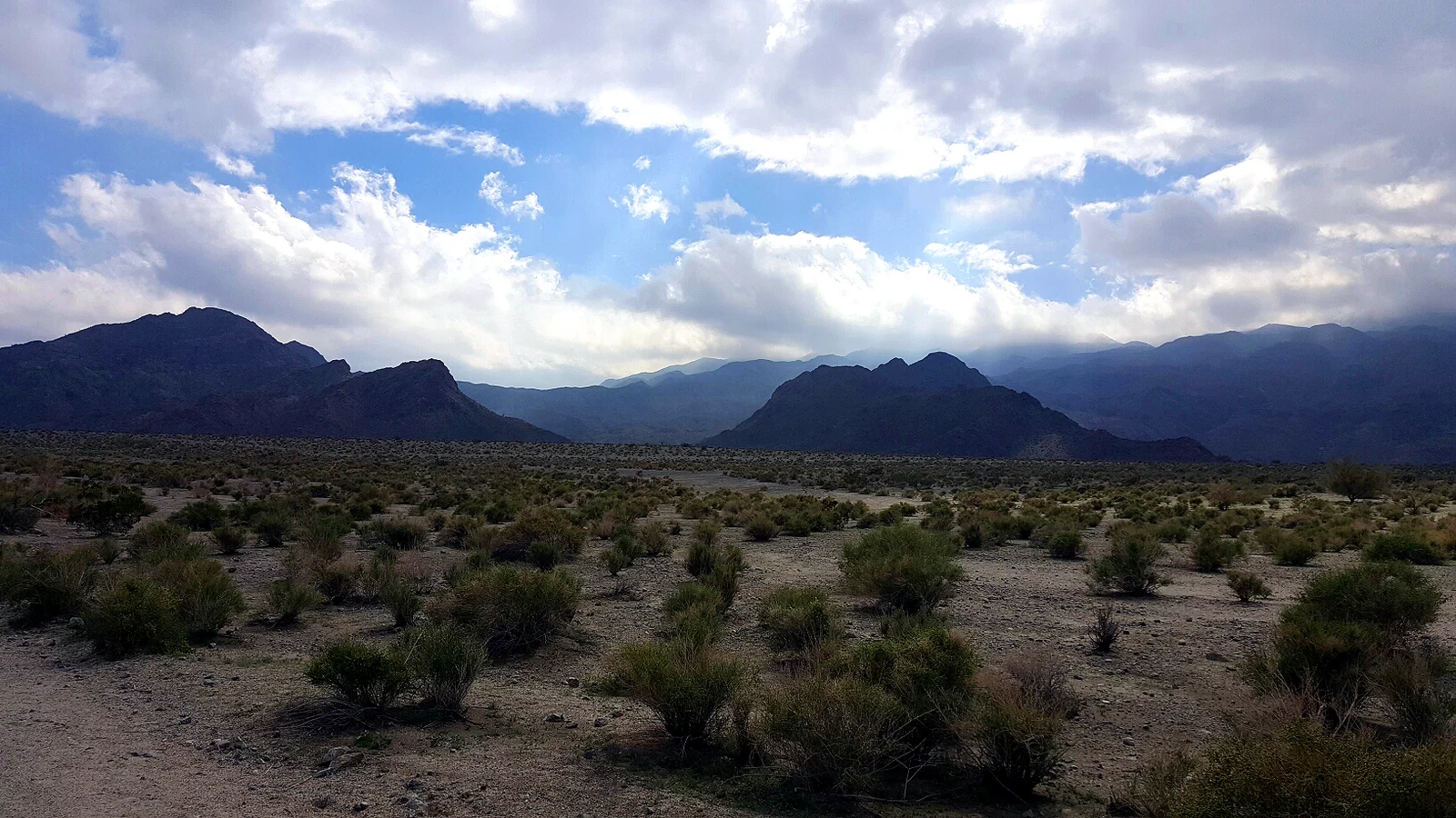 Open desert landscape in Indian Wells